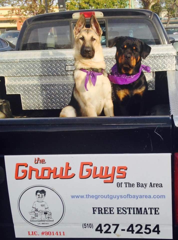 Photo of The Grout Guys
