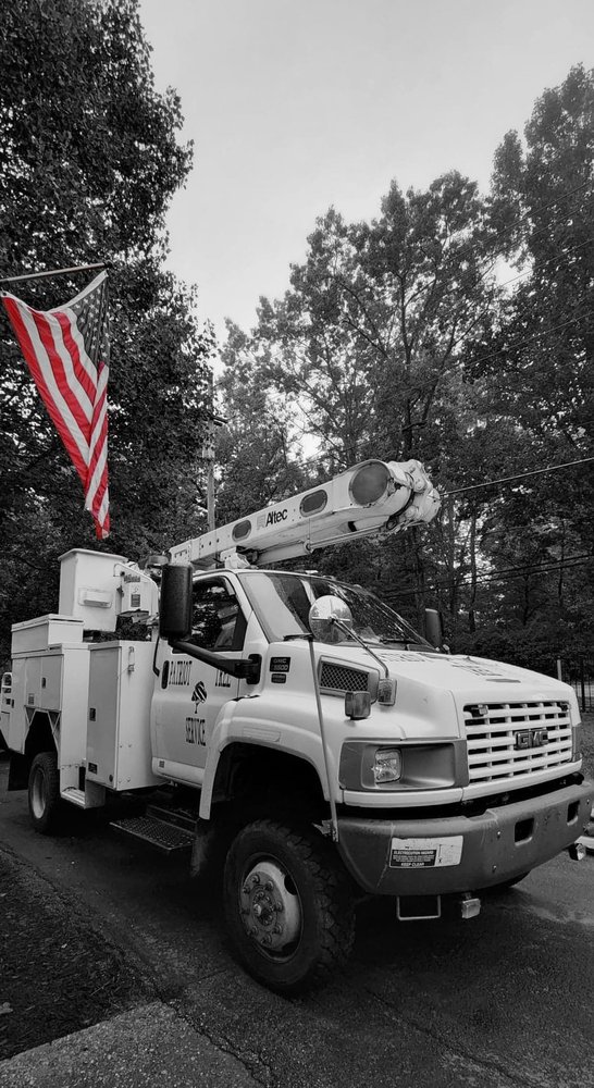 Photo of Patriot Tree Experts