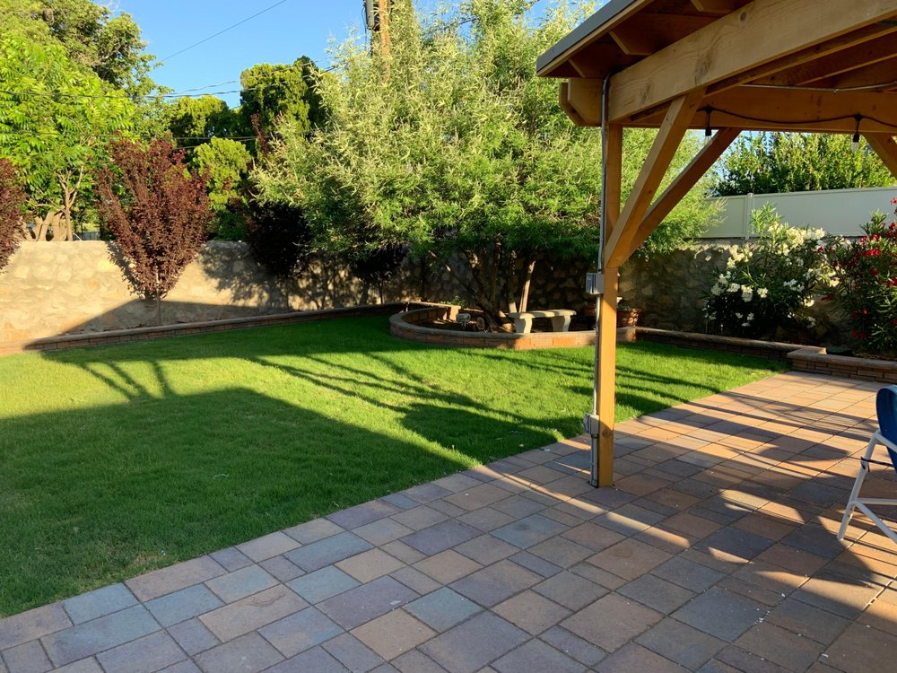 Photo of Daniel’s Tree & Landscaping