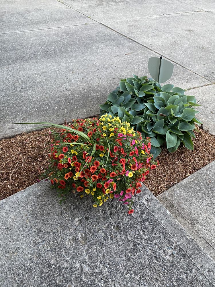 Photo of R&C Tree And Landscaping services
