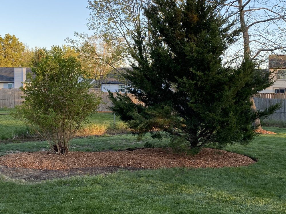 Photo of R&C Tree And Landscaping services