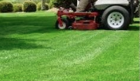 Photo of Chris Schoedel - Lawn Care & Landscaping