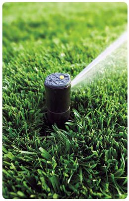 Photo of Artificial Rain