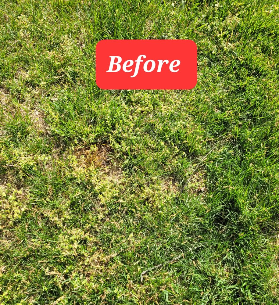 Photo of HCA LAWNCARE