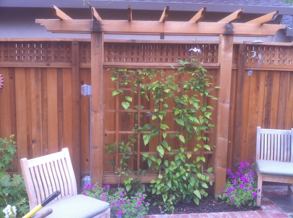 Photo of Barefoot Lawns & Landscaping
