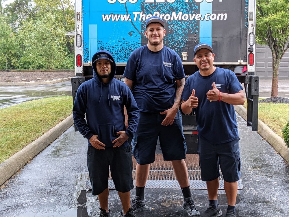 Photo of The Professionals Moving Specialists
