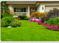 Photo of Sabia Landscaping & Tree Service
