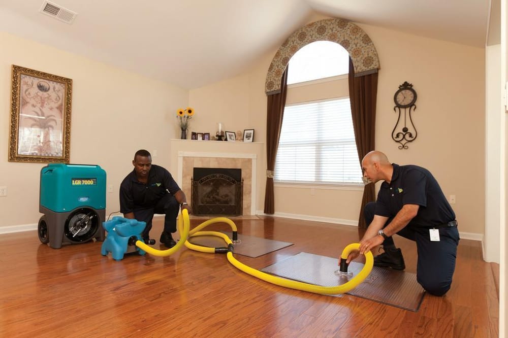 Photo of ServiceMaster of Lincoln Park
