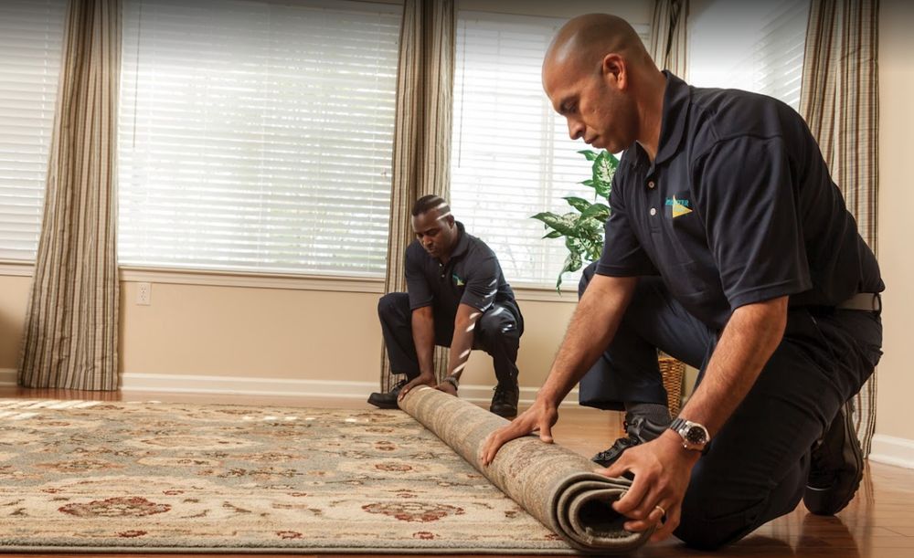 Photo of ServiceMaster of Lincoln Park