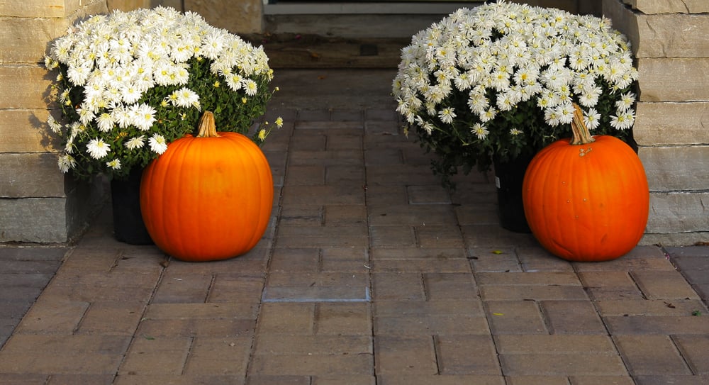 Photo of Insite Landscape Design Consulting