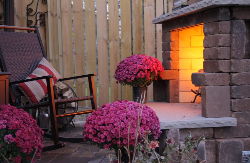 Photo of Insite Landscape Design Consulting