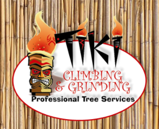 Photo of Tiki Tree and Landscape