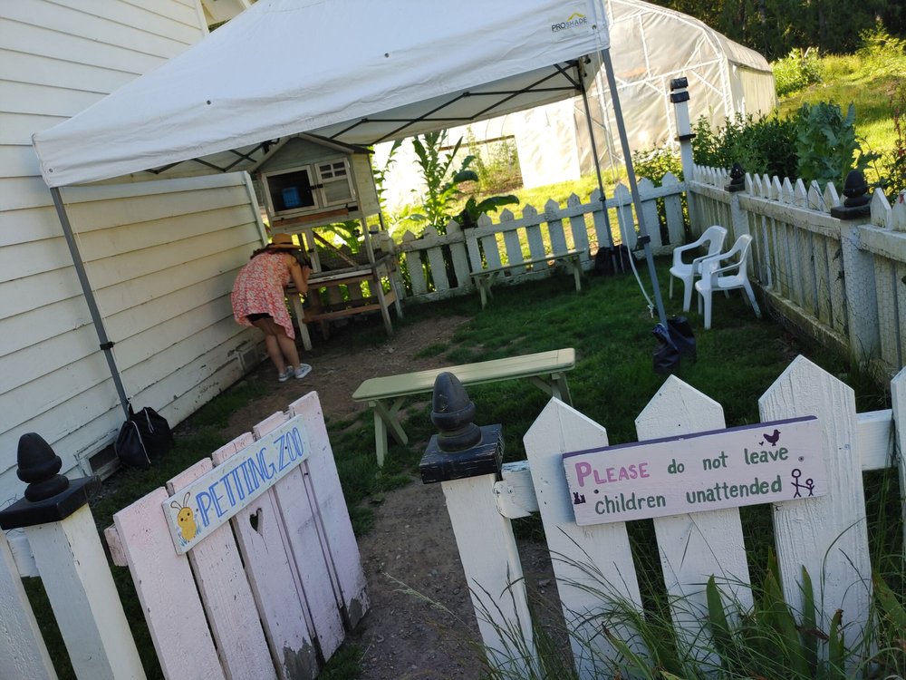 Photo of Courter Country Farm