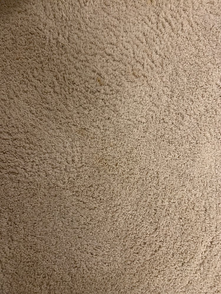 Photo of Complete Carpet Care