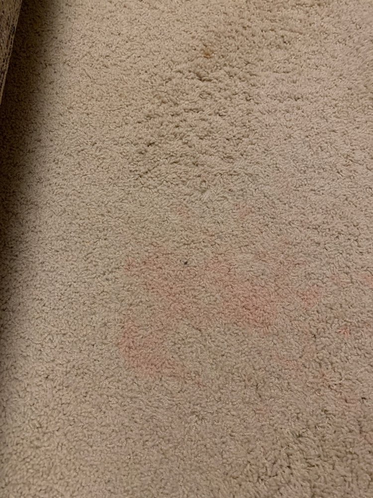 Photo of Complete Carpet Care