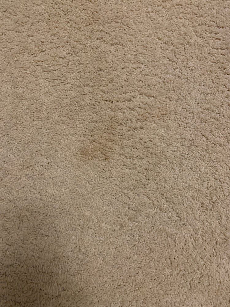 Photo of Complete Carpet Care