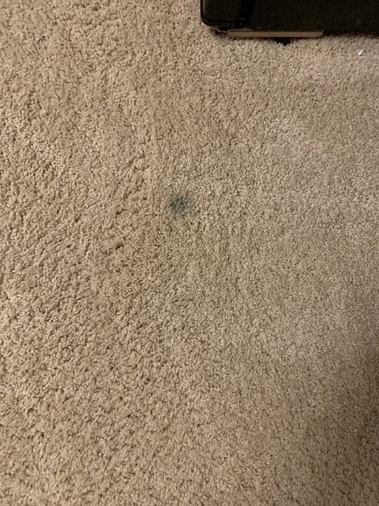 Photo of Complete Carpet Care