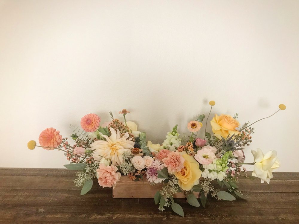 Photo of la belle bloom