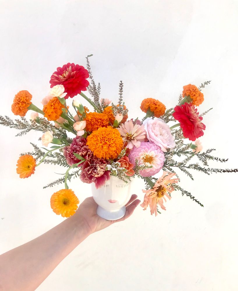 Photo of la belle bloom