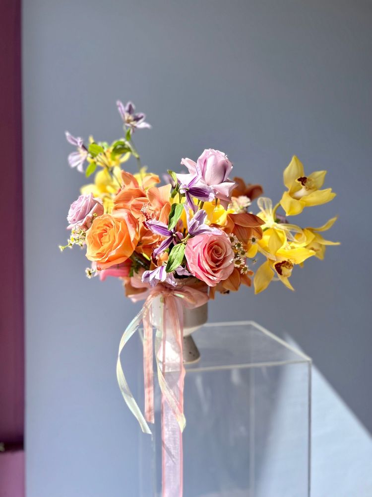 Photo of la belle bloom