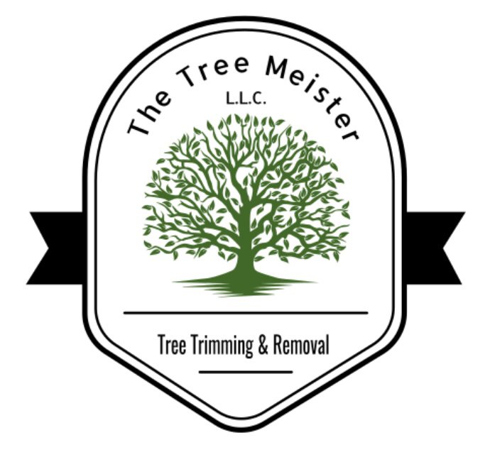 Photo of The Tree Meister
