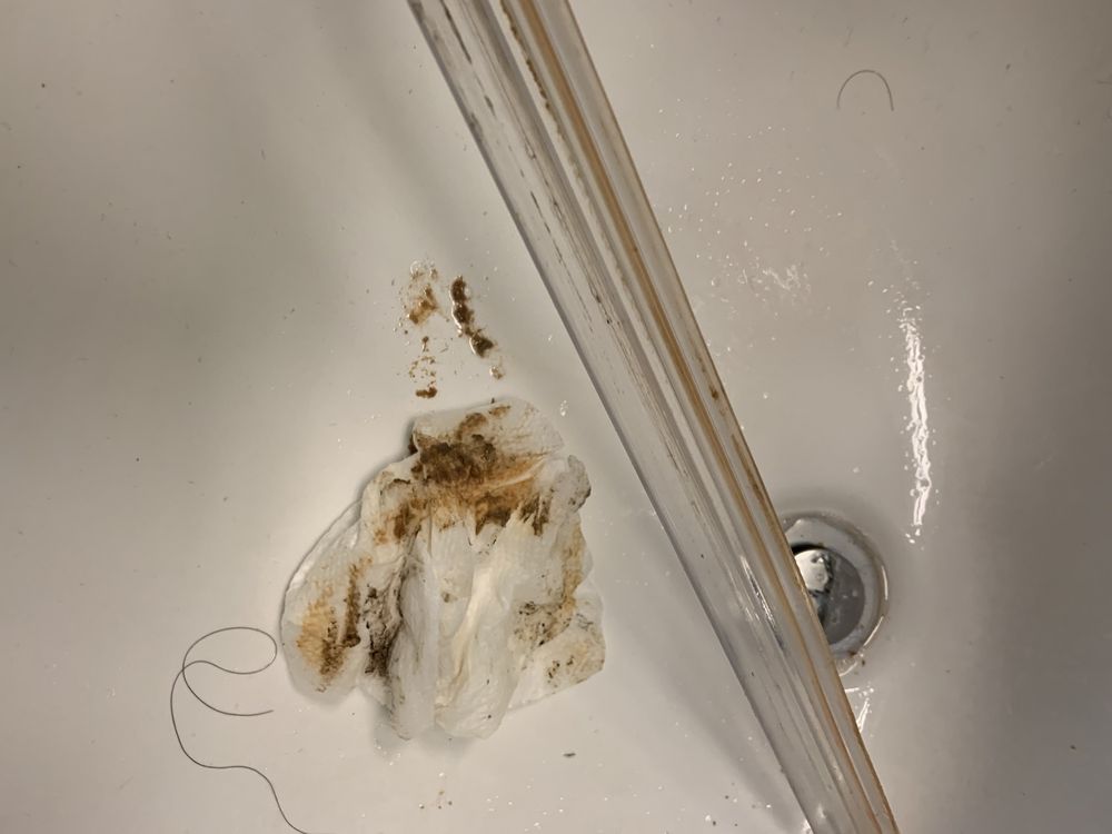 Photo of Magnified Cleaning Service
