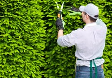 Photo of Werner & Sons Landscaping