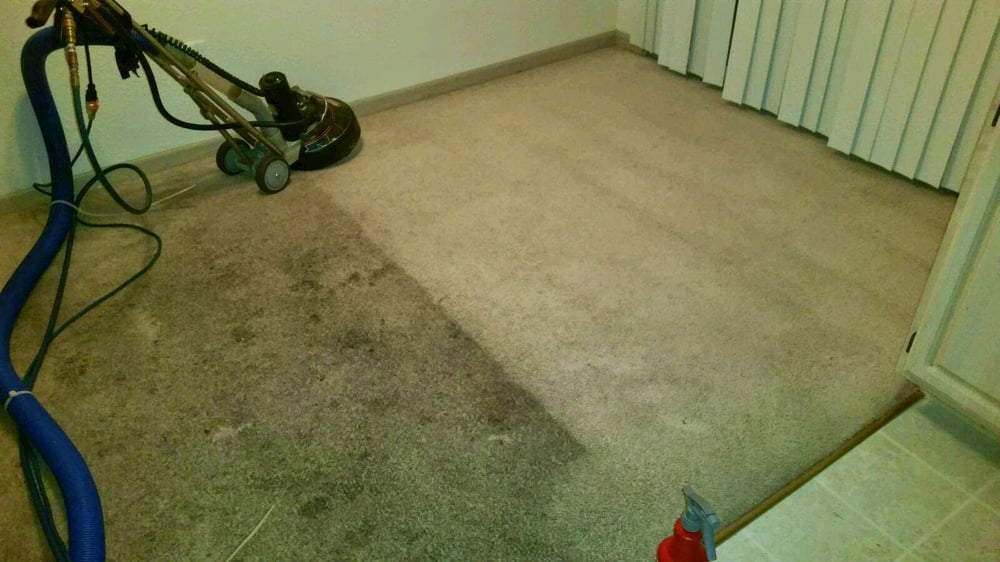 Photo of Total Floor Restoration