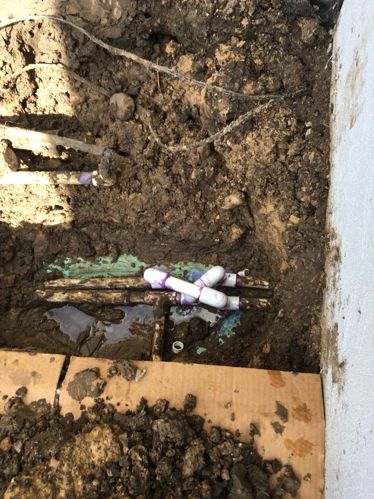 Photo of Wise Lawn Sprinkler