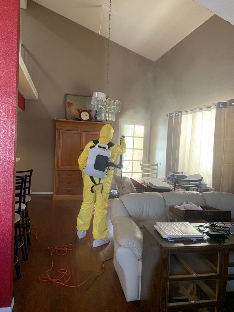Photo of EMJ Cleaning