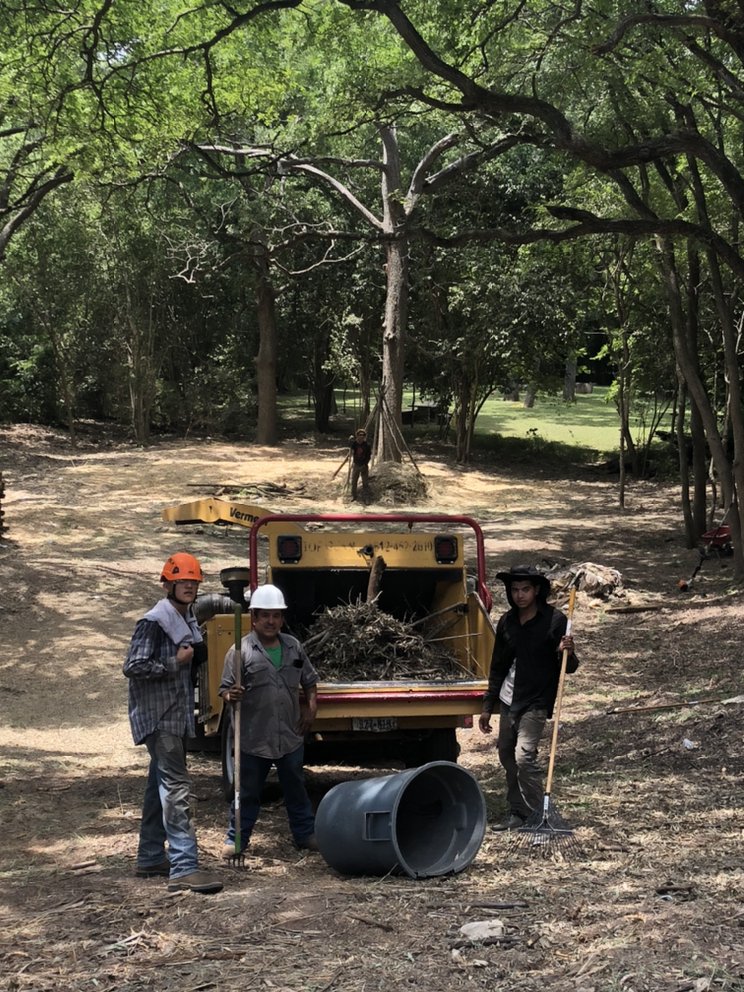 Photo of Joe's Tree Care