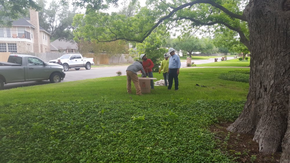 Photo of Joe's Tree Care