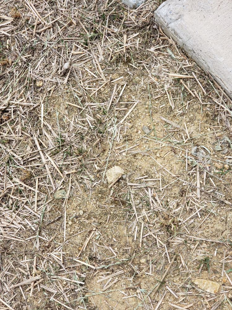 Photo of Think Green Lawn Service