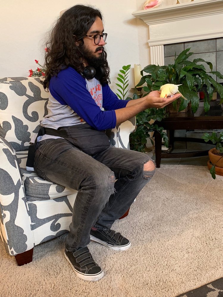 Photo of Once In A Wild