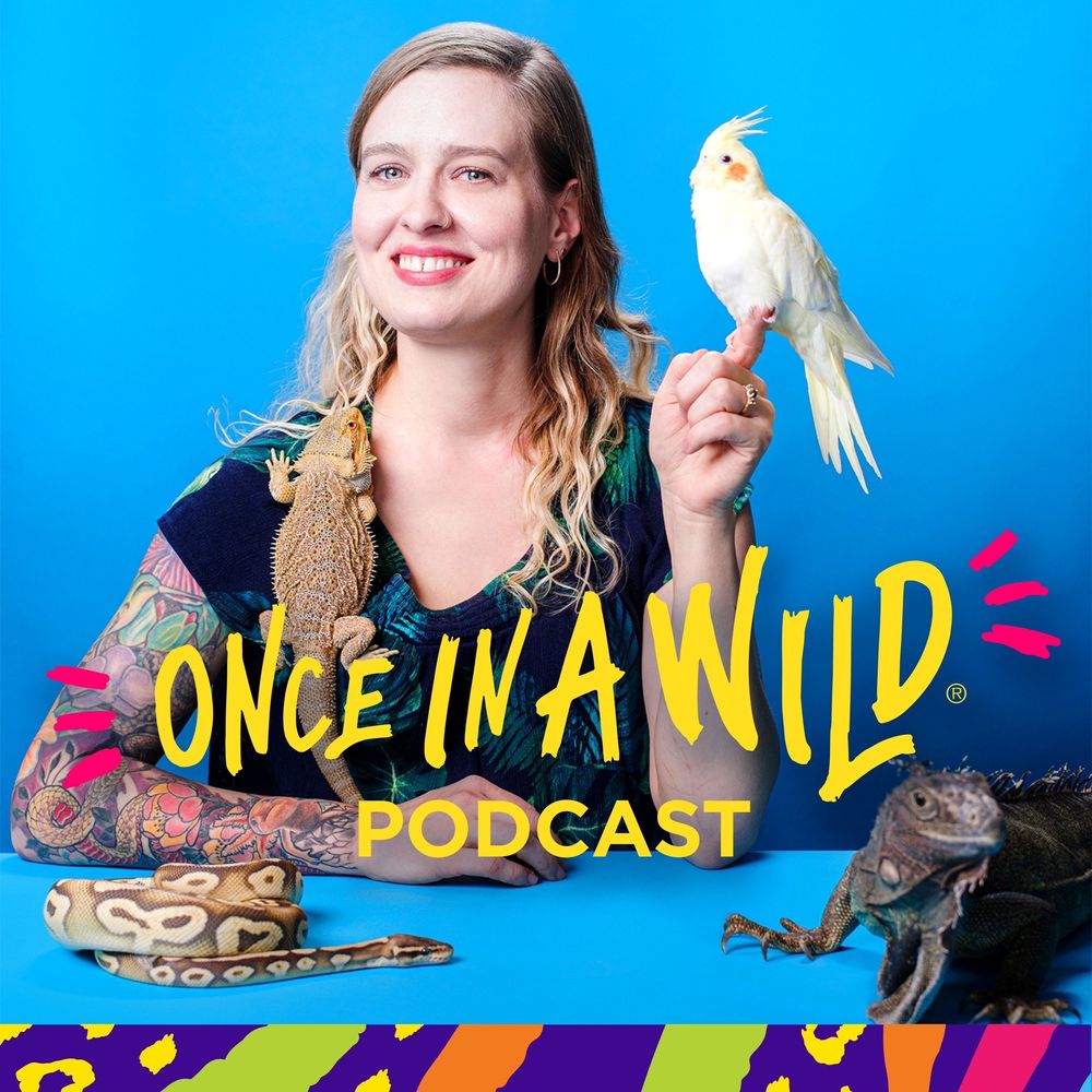 Photo of Once In A Wild