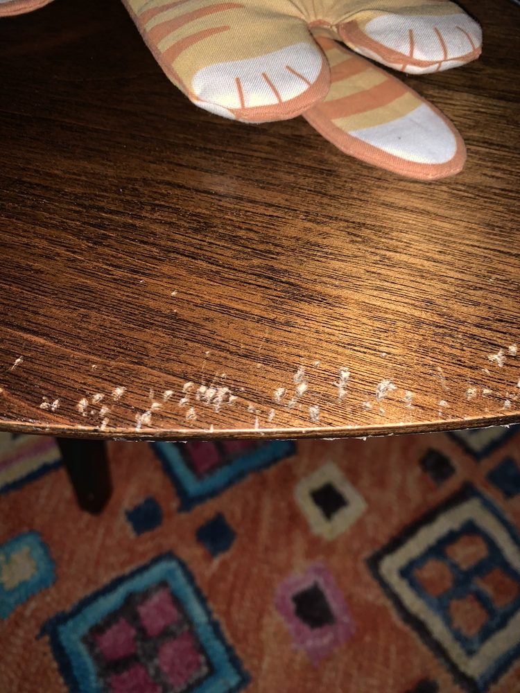 Photo of Fine Wood Repair