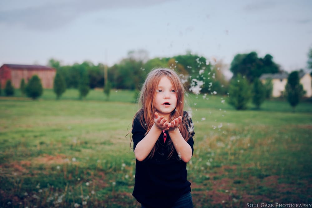 Photo of Soul Gaze Photography
