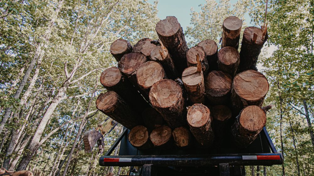 Photo of Outback Forestry Mulching And Landclearing