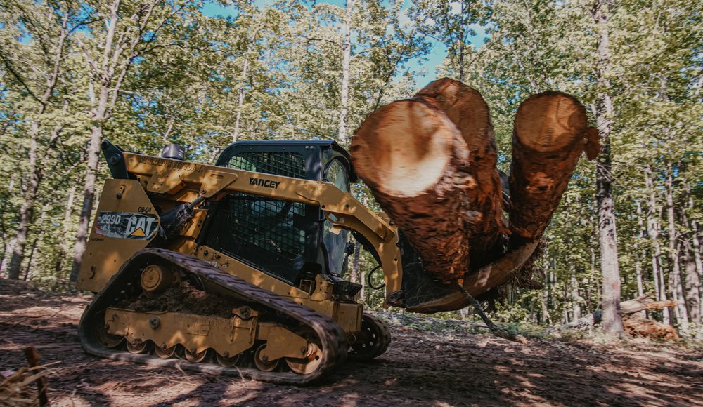 Photo of Outback Forestry Mulching And Landclearing