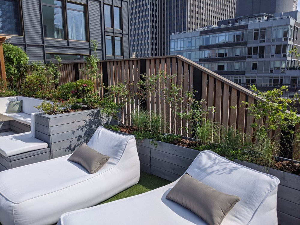 Photo of Native NY Gardens