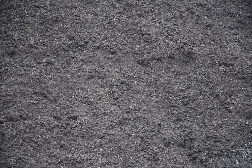 Photo of Big Tex Stone