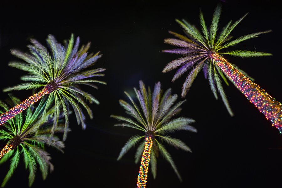 Photo of Brite Nites - Fort Lauderdale
