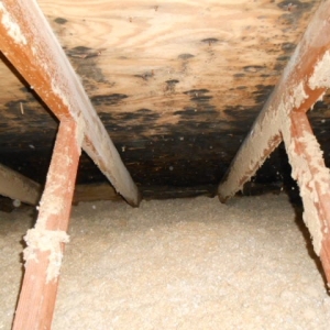 Baltimore ALP Inspections