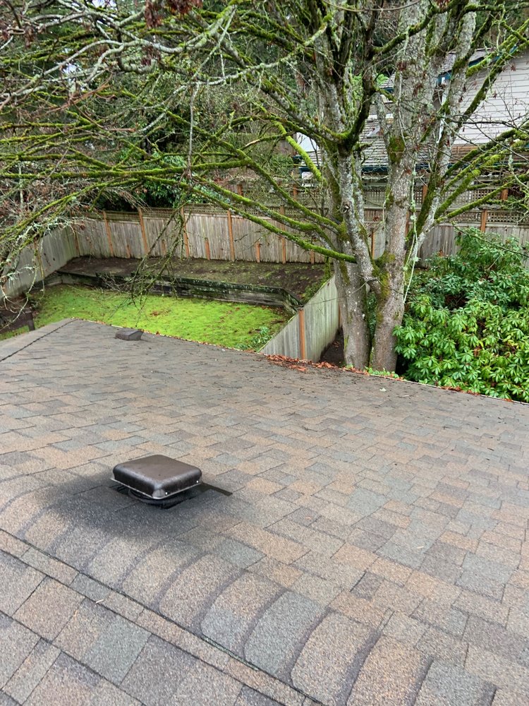 Photo of There's No Place Like Home Roof Cleaning