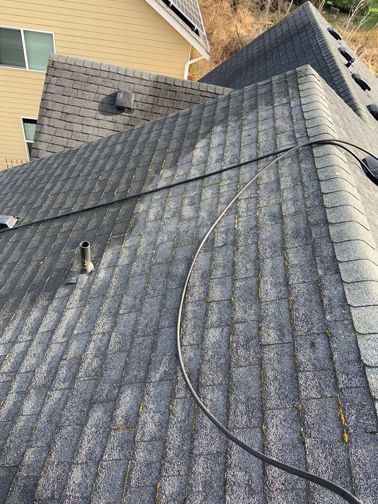 Photo of There's No Place Like Home Roof Cleaning