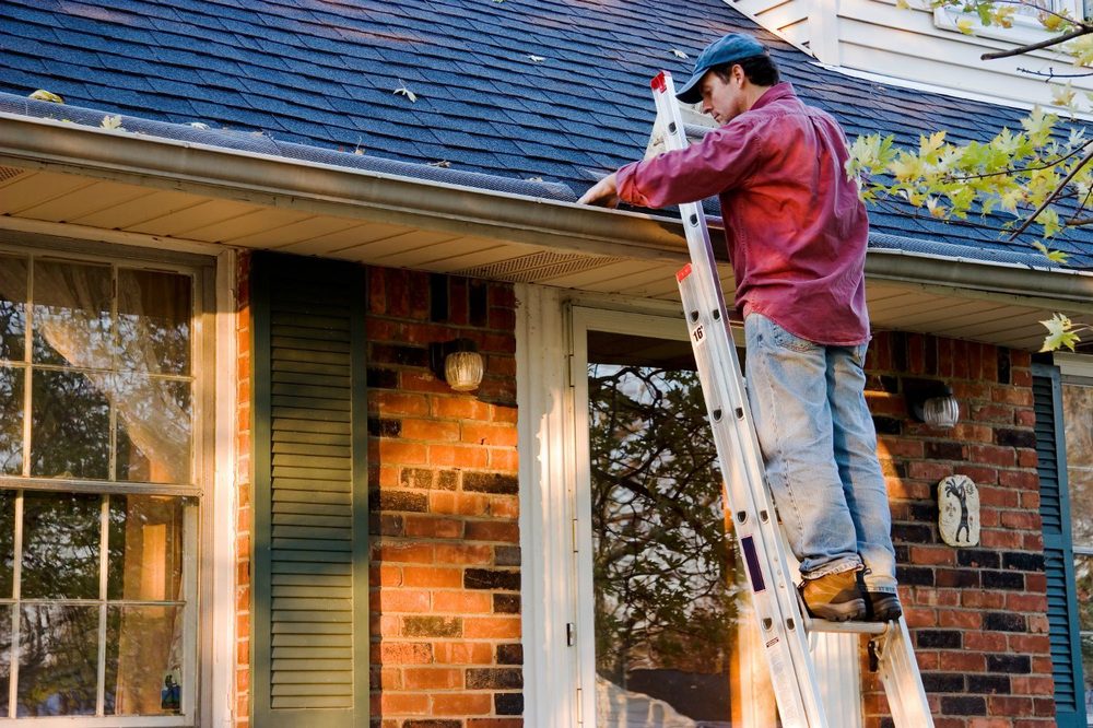 Photo of Pacheco Painting & Remodeling
