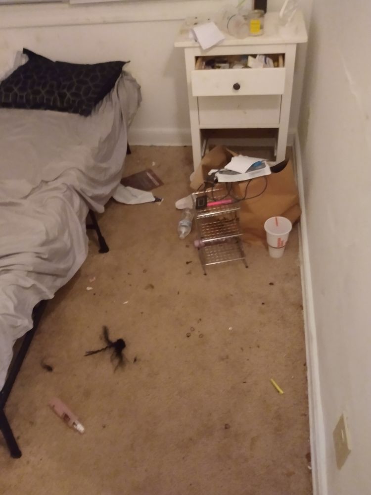 Photo of Clean It Up Cleaning Services
