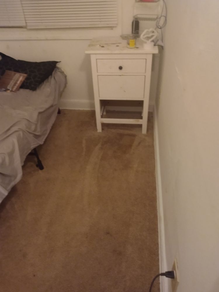 Photo of Clean It Up Cleaning Services