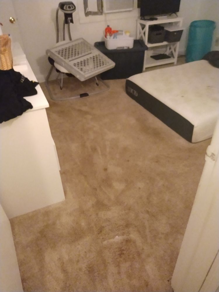 Photo of Clean It Up Cleaning Services