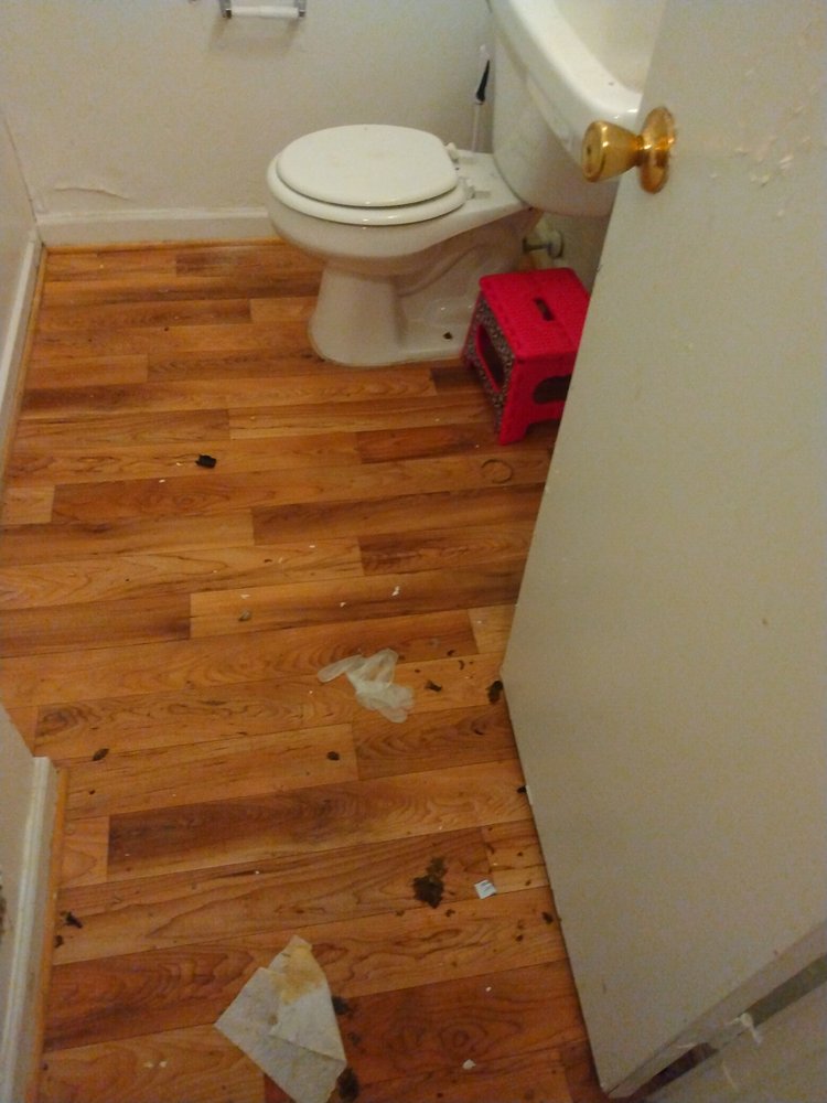 Photo of Clean It Up Cleaning Services